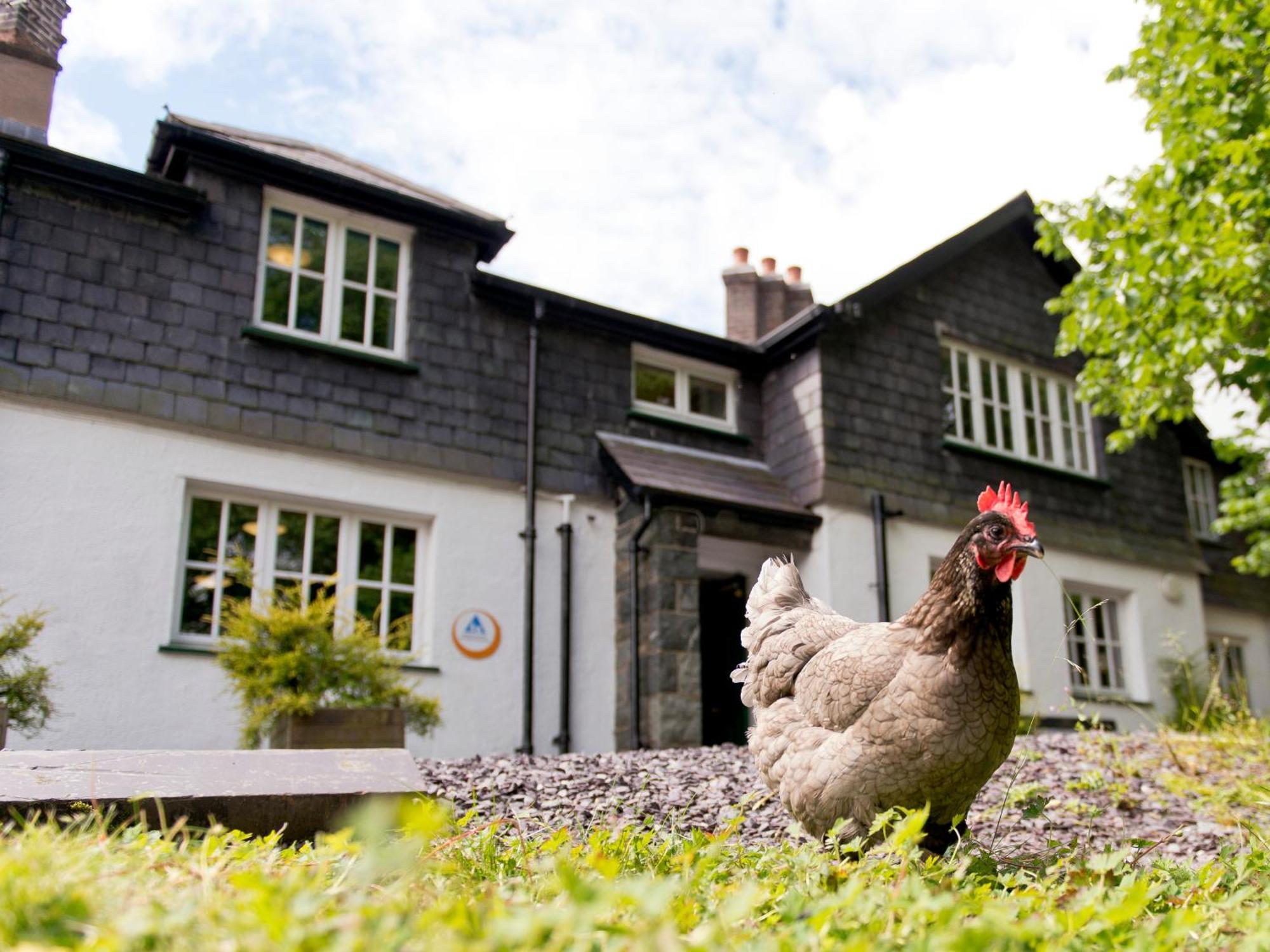 Yha Idwal Cottage Bethesda Exteriér fotografie
