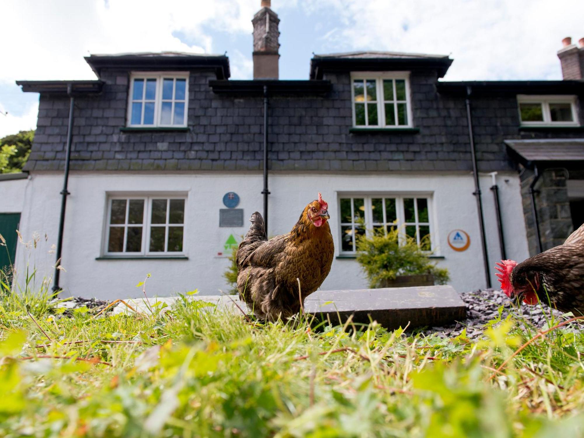 Yha Idwal Cottage Bethesda Exteriér fotografie